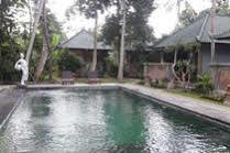 Wana Ukir 3* Ubud